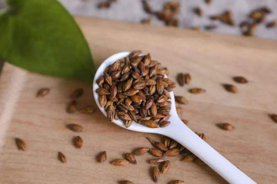 大麥茶上火嗎，喝大麥茶會(huì)不會(huì)上火？