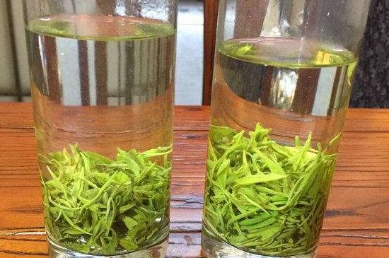 黃金茶的功效及禁忌癥，黃金茶有什么副作用嗎？