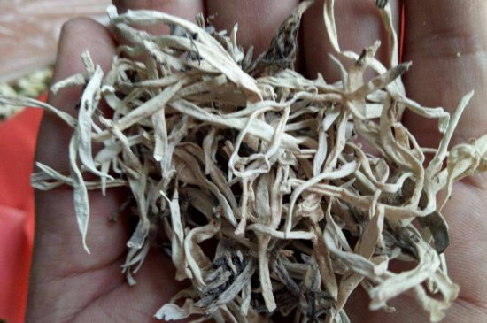 麗江雪茶的禁忌，白雪茶的副作用