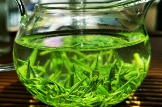 喝黃金茶禁忌，什么人不能喝黃金芽茶？