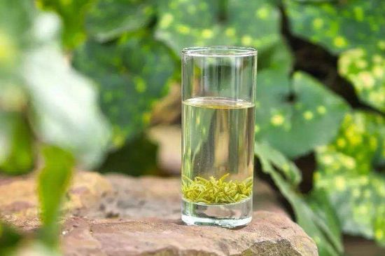 碧螺春沖泡三要素，碧螺春怎么泡才正確？