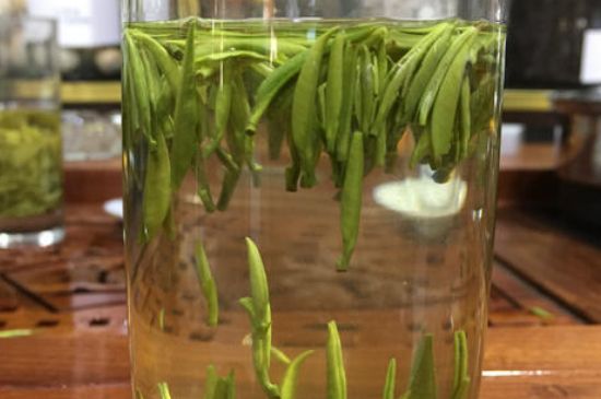 雀舌茶的副作用，雀舌茶什么人不能喝？