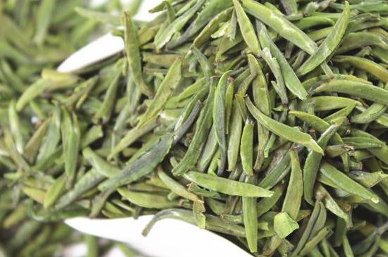 雀舌茶什么人不能喝，雀舌茶的功效與禁忌