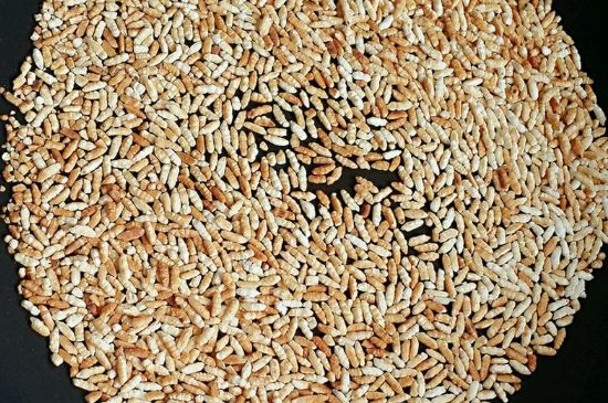 玄米茶是紅茶嗎，玄米茶怎么喝