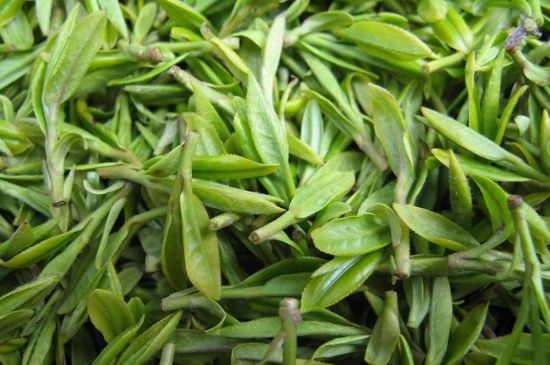 世界最貴的茶葉排行榜，十大最貴的茶