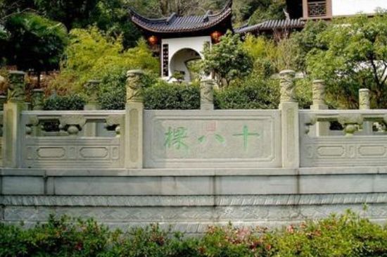 世界最貴的茶葉排行榜，十大最貴的茶