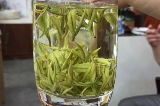 茶葉過期5年了但沒開封，茶葉放久了能喝嗎