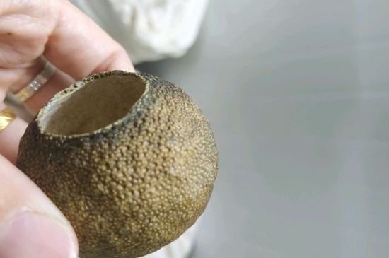 小青柑多少錢一盒，新會小青柑普茶價格一斤多少