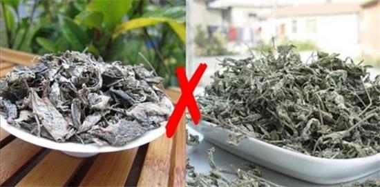 張家界茅巖莓茶與藤茶是同一種茶嗎，藤茶跟莓茶一不一樣？