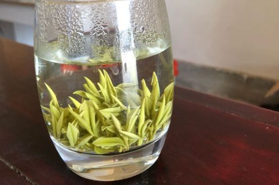 安吉白茶耐寒嗎，白茶適合放冰箱嗎