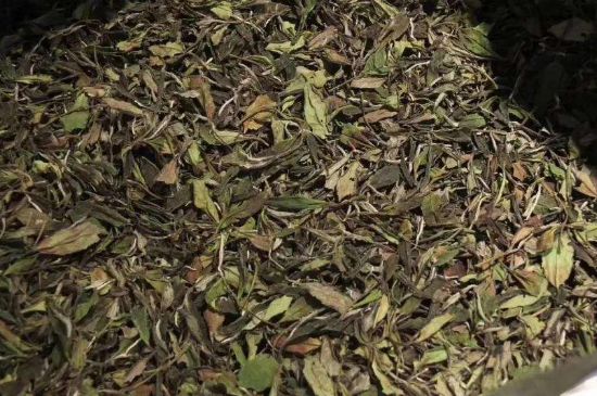 陳茶還是新茶好，茶葉是新茶好喝還是陳茶好喝