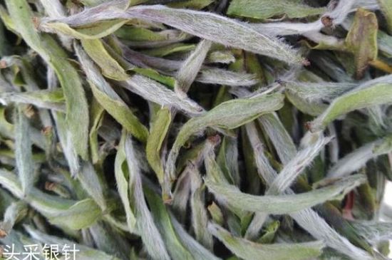 春茶季怎么辨別白毫銀針的好壞，好的白毫銀針如何選購？