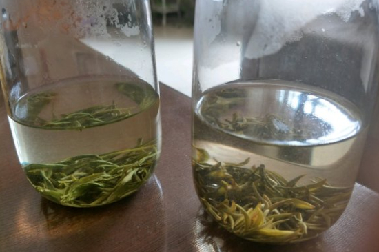 真假碧螺春泡水后區(qū)別，蘇州洞庭碧螺春怎樣鑒別好壞？