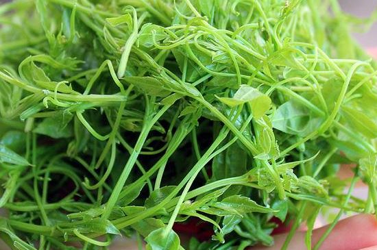 茅巖莓茶保質(zhì)期有多久，張家界莓茶存放時間長了還能喝嗎？