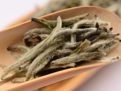 白毫銀針放幾年最好，白毫銀針什么年份最好？