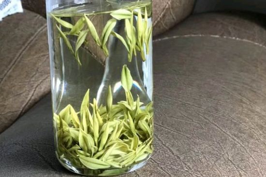 安吉白茶夏天怎么保存，安吉白茶能冷凍儲存嗎？