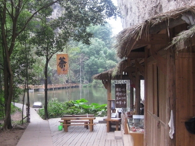 實體店買茶葉的技巧，新手買茶須知