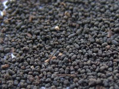 圓形顆粒狀茶是什么茶，像飼料一樣一粒粒的是什么茶？