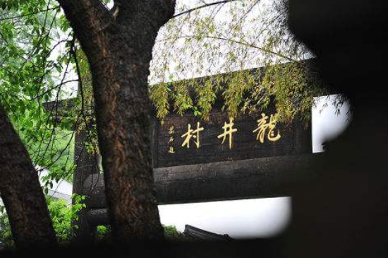 杭州買龍井茶攻略，怎么買到正宗的西湖龍井？