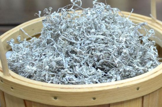 張家界莓茶真假對比，野生莓茶的鑒別方法