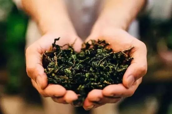 茶葉怎么炒制才香，怎樣炒茶葉更香？