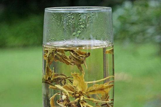 茉莉龍珠什么人不能喝，茉莉龍珠茶什么體質(zhì)不能喝？