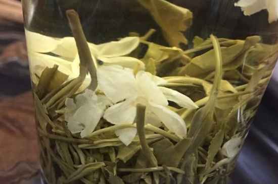 女孩喝茉莉茶的好處，茉莉茶葉的功效與禁忌