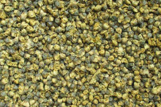 菊花茶大朵小朵有什么區(qū)別，菊花喝大朵還是小朵？