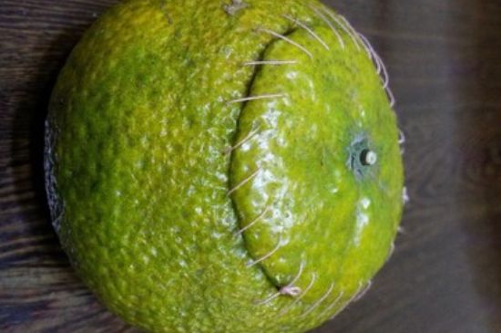 家庭自制柑普茶方法，小青柑制作9個(gè)步驟竅門（圖片）