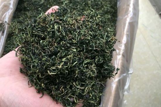 蒲公英十大搭配，蒲公英泡水搭配大全集