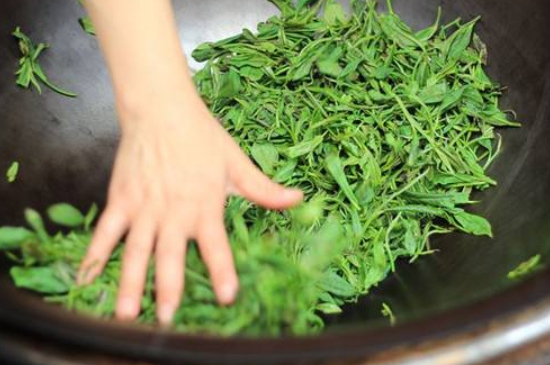 炒青綠茶與綠茶的區(qū)別，烘青和炒青哪個好喝？