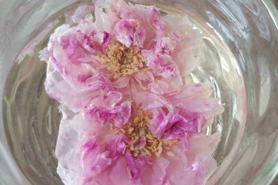 玫瑰花茶上火嗎，盲目喝玫瑰花茶易上火