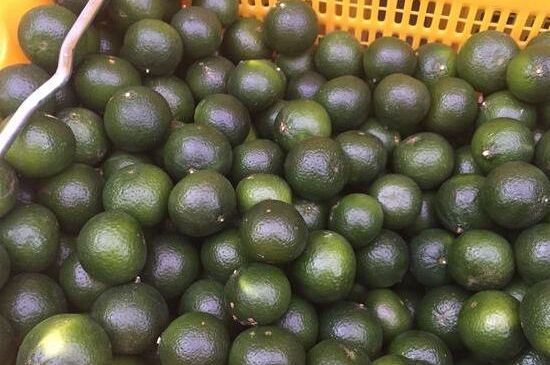 家庭自制柑普茶方法，小青柑制作9個(gè)步驟竅門（圖片）