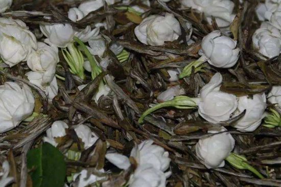 茉莉龍珠怎么做的，茉莉龍珠的制作工藝