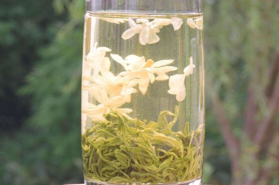 茉莉龍珠可以和什么一起泡茶，茉莉龍珠茶能加蜂蜜嗎？