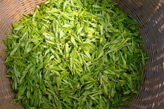 烏牛早和龍井的區(qū)別圖片，龍井43號(hào)和烏牛早茶的對比