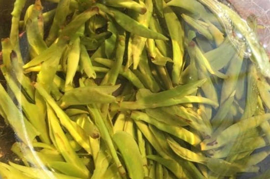 龍井是明前的好還是雨前的好，明前茶和雨前茶哪個好喝？