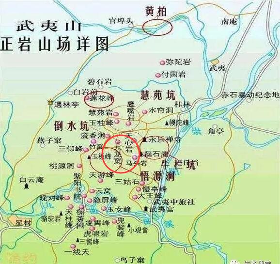 母樹大紅袍給誰喝了，為什么母樹大紅袍叫三棵六株？