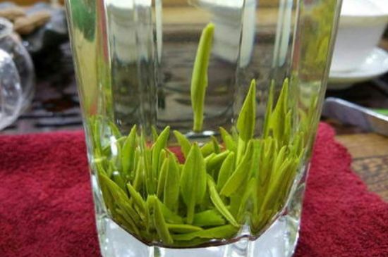 雀舌有一股青草味，雀舌為什么有青草味？