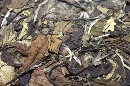 老白茶上火還是去火？夏季喝煮的老白茶會容易上火！