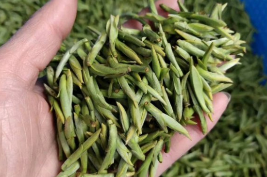 龍井茶好壞的鑒別圖片，如何區(qū)別龍井茶的好壞？