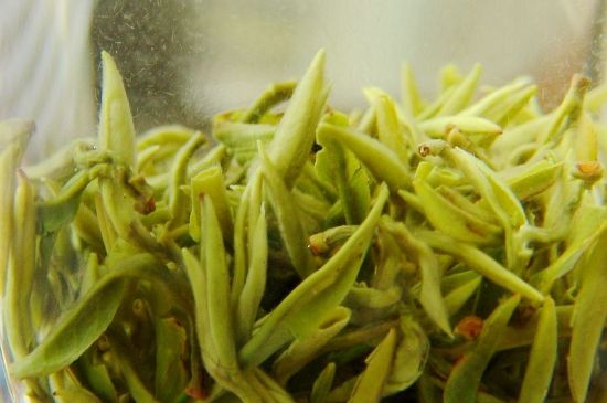 碧螺春為什么泡水渾濁，碧螺春茶葉泡水感覺很臟是混濁的