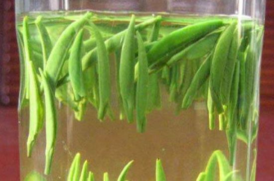 竹葉青和毛尖的區(qū)別，毛尖和竹葉青怎么分辨？