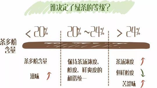 什么綠茶口味重口感濃郁，口味比較重的綠茶都有那些？