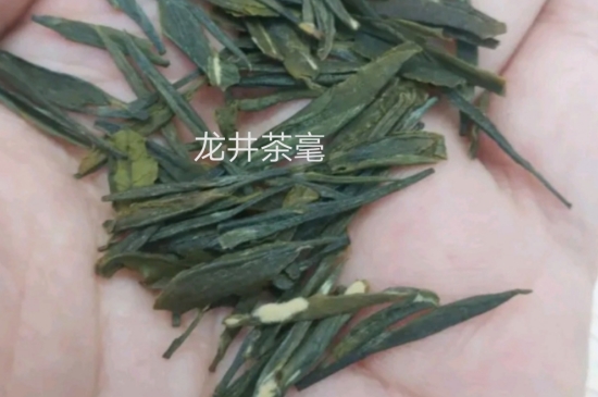 西湖龍井茶毫和發(fā)霉區(qū)別圖片，長霉的龍井茶葉會是什么樣？