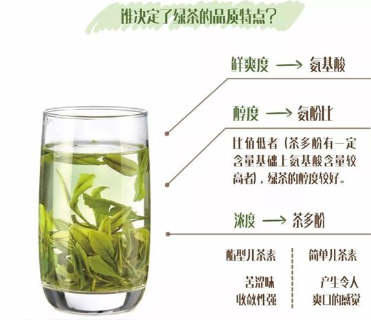 什么綠茶口味重口感濃郁，口味比較重的綠茶都有那些？