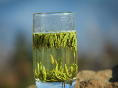 竹葉青茶怎么樣，檔次較高味道略苦價格比較貴