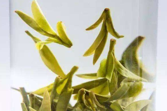 烏牛早和龍井的區(qū)別圖片，龍井43號(hào)和烏牛早茶的對比