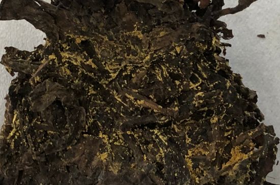 怎么知道涇渭茯茶是否變質(zhì)，茯磚茶金花和發(fā)霉的區(qū)別