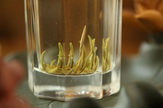 踏雪蘭妃是什么茶，踏雪蘭妃是哪里的茶葉?